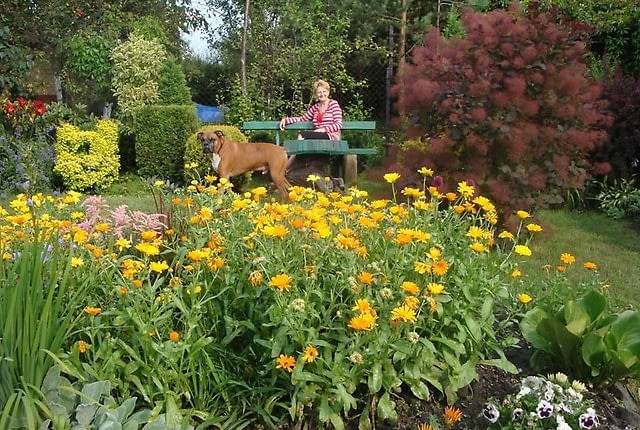 Ogród Pani Grażyny