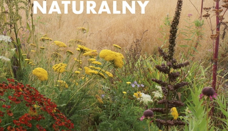 Tworzę ogród naturalny