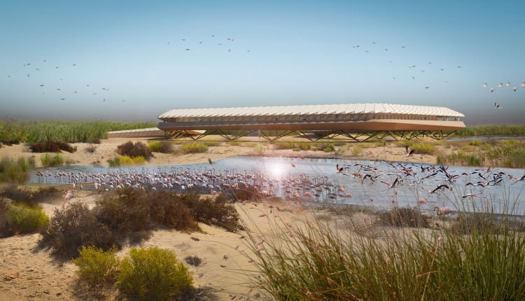Platforma obserwacyjna flamingów w rezerwacie Al Wathba (Zjednoczone Emiraty Arabskie). Proj. AIDIA STUDIO