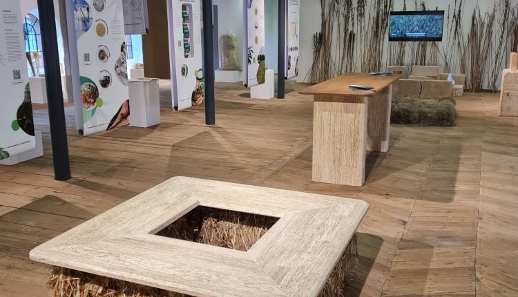 Meble z drewna konopnego na ŁÓDŹ DESIGN FESTIVAL