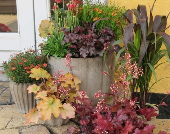 Jesień przed wejściem do domu