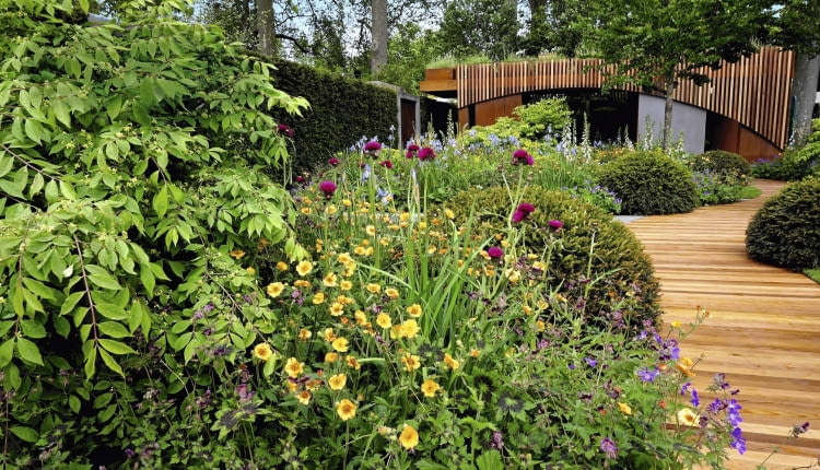 Miejski azyl (The Homebase Garden - Urban Retreat) zaaranżowano jako miejsce sprzyjające spotkaniom ludzi w otoczeniu natury. Modne materiały (beton, stal kortenowska, cedr) zestawiono tu z bujnymi kwiatami (kukliki, bodziszki, wilczomlecze itp.). Dach altany porasta łąka.