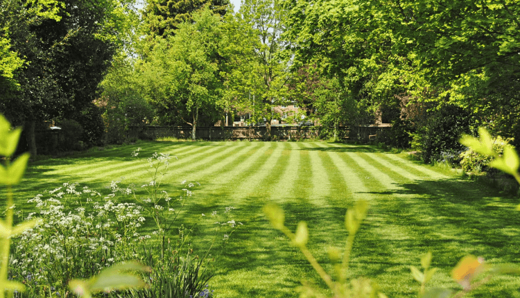 Robot koszący czy kosiarka na akumulator