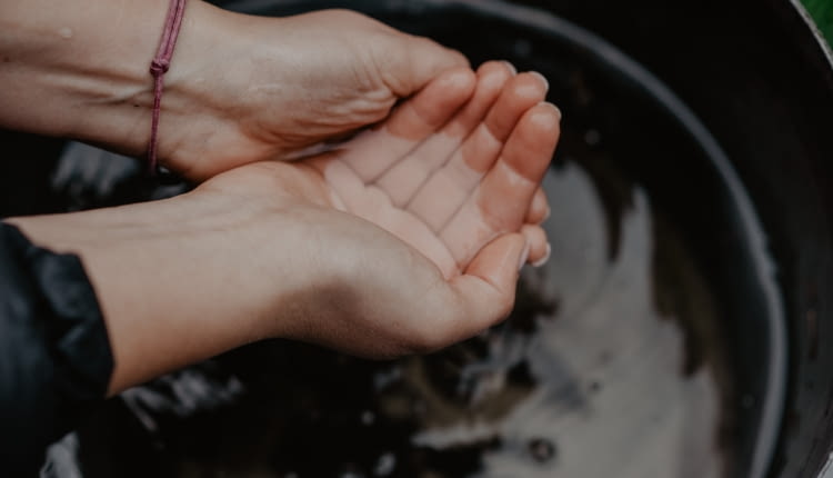 Jak przygotować ogród na suszę?