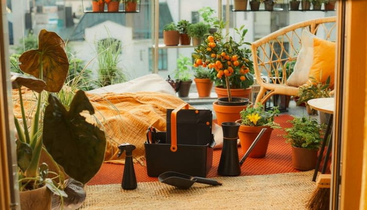 Nowa linia produktów do pielęgnacji roślin doniczkowych Urban Plant Care
