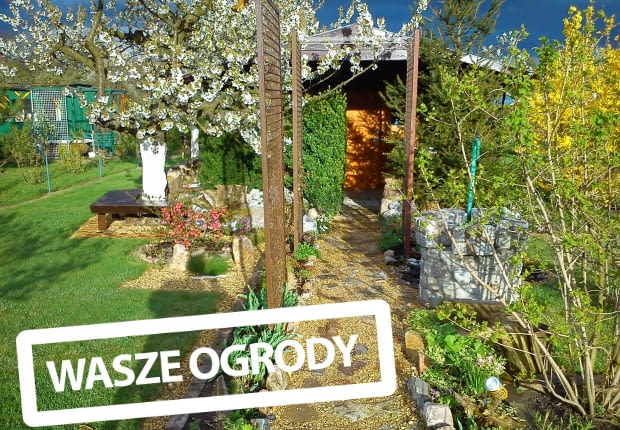 Ogród Państwa Kowalskich