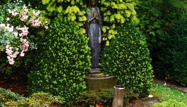 U podnóża altanki z cisu i bukszpanu posadzono azalię japońską, miniaturowy świerk i begonię.