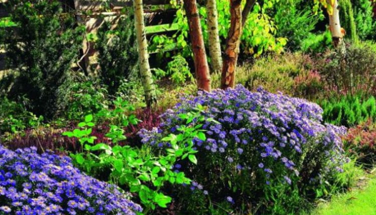 dodatki, ogród, akcesoria ogrodowe, donica