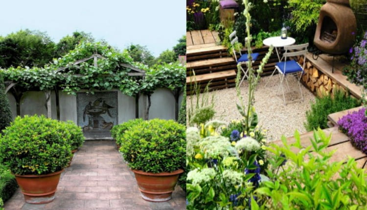 ogrody, balkon, taras, rośliny, nawozy