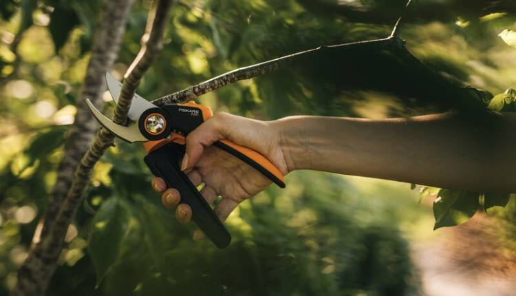 Sekator nożycowy X-series, L