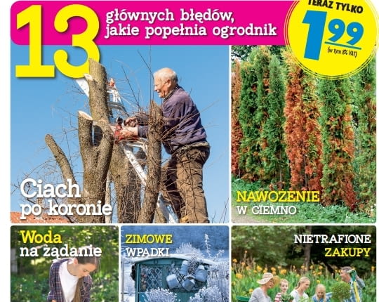 Niezbędnik ogrdonika