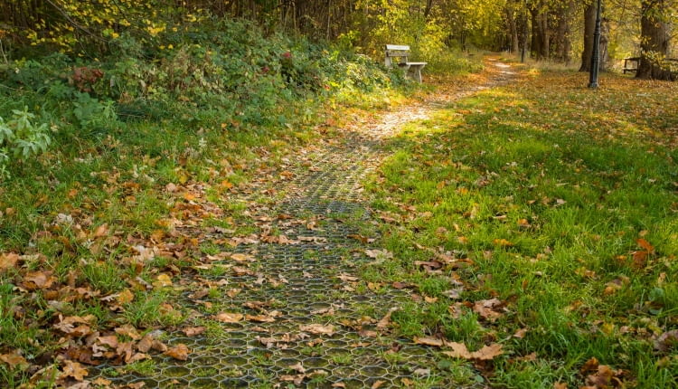 Jesienne porządki w ogrodzie