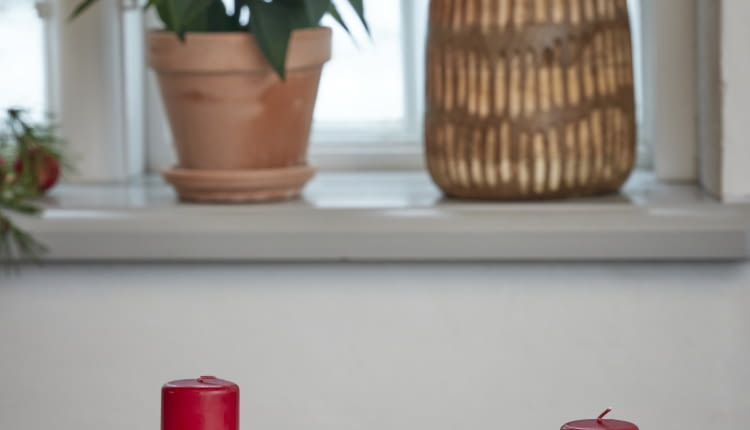 Aranżacja adwentowa z poinsecją w blasze do pieczenia