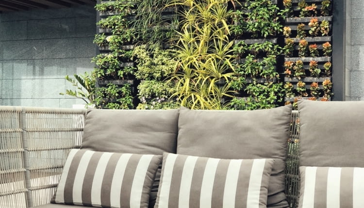 Pionowe ogrody do domu i biura