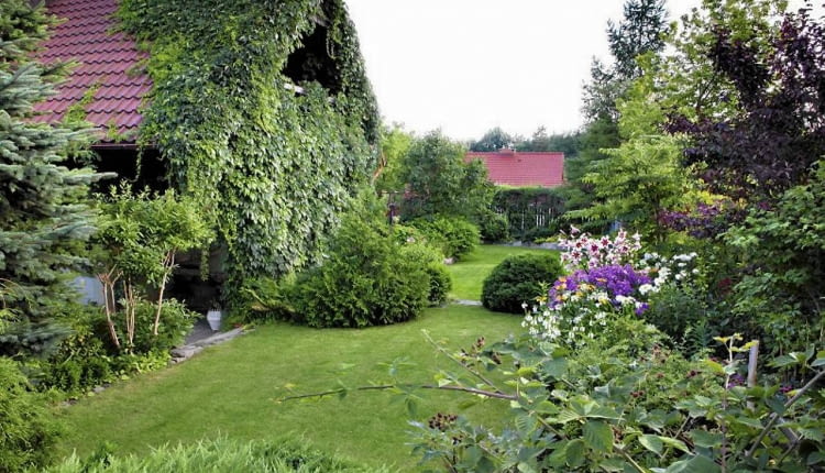 SLOWA KLUCZOWE: beata tokarz