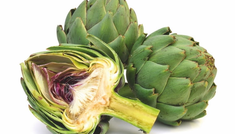 PĄKI KARCZOCHA ZWYCZAJNEGO są cenione przez smakoszy.