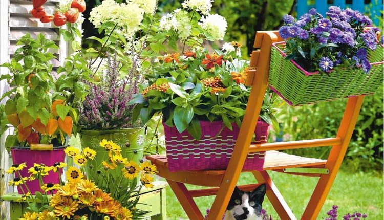 KWIATY. Piękne kolory marcinków, miechunki, chryzantem, nachyłków i wrzosów są dodatkowo podkreślone wesołymi odcieniami doniczek i osłonek.