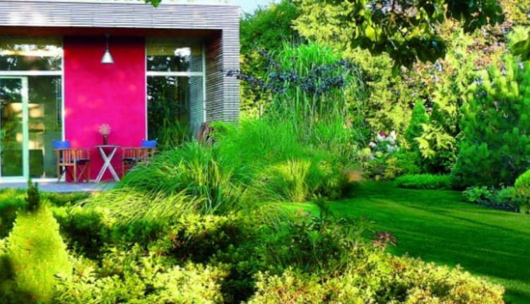 nasiona, trawa, ogrody, rośliny, nawozy