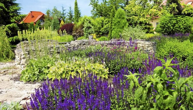 10.06.2010 BUSKO ZDROJ , OGROD DLA MIESIECZNIKA OGRODY , WLASCICIELE MAREK I ANNA MASLOWSKI . FOT. WOJCIECH SURDZIEL / AGENCJA GAZETA SLOWA KLUCZOWE: ROSLINY OGRODNICTWO OGROD