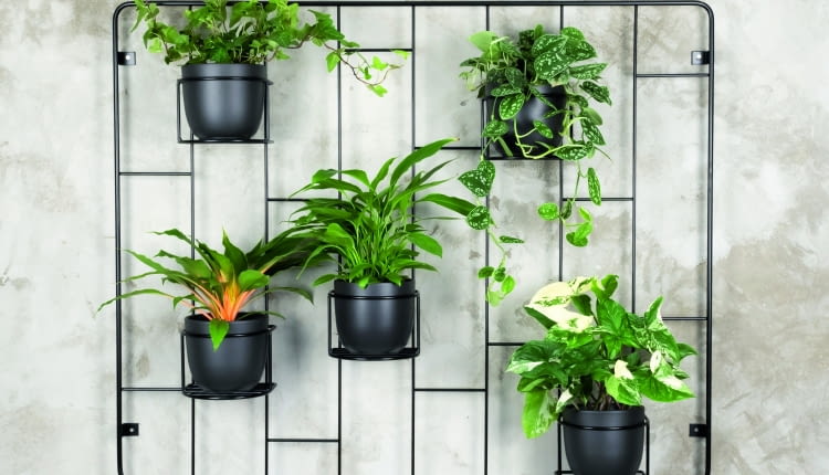 Kwietniki z serii Hedera zaprojektowane przez firmę Domowe Kwietniki