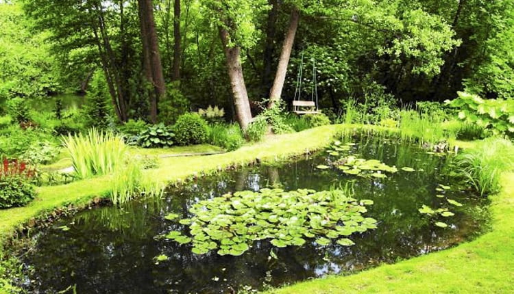 21.06.2010 WARSZAWA SESJA OGROD OGROD NAD RZEKA DLA CZASOPISMA OGRODY FOT. ARKADIUSZ SCICHOCKI / AGENCJA GAZETA SLOWA KLUCZOWE: OGROD