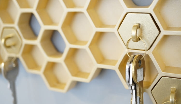 plastry miodu, plaster miodu, design