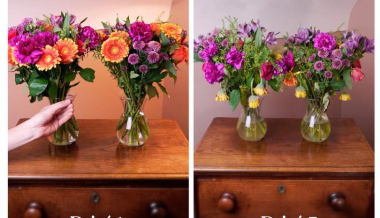 Przedłużanie twałości kwiatów - metoda z wódką