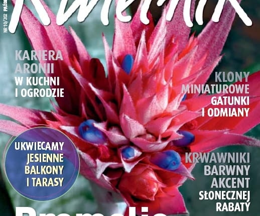 Miesięcznik Kwietnik nr 10/2011