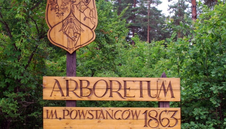 Arboretum w Kopnej Górz