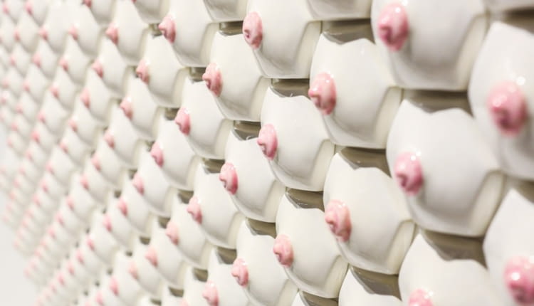 płytki, ceramiczne płytki, piersi, kobiece piersi, nicole nadeau
