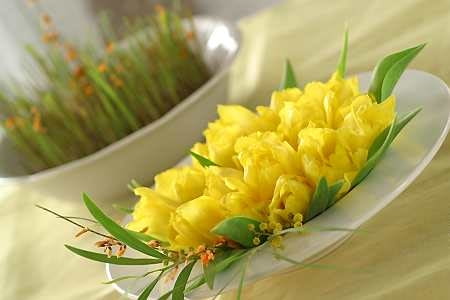 10.01.2003 WARSZAWA TEMAT WIELKANOC SWIATECZNE KOMPOZYCJE ROSLINNE