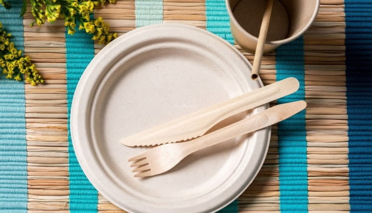 Talerz z trzciny cukrowej Natural