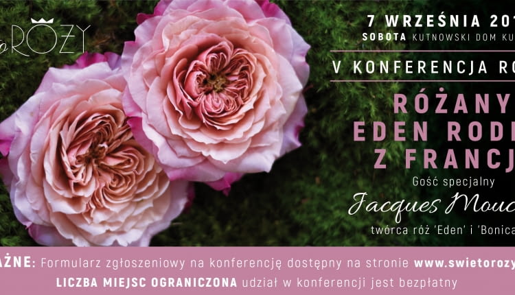 Konferencja