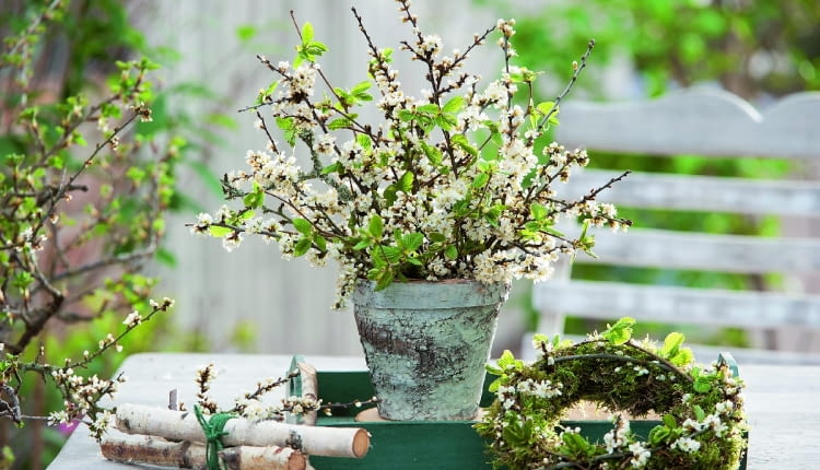 eStrau und Kranz aus Prunus spinosa ( Schlehe ) und Betula ( Birke ), Birkenstmme zusammengebunden