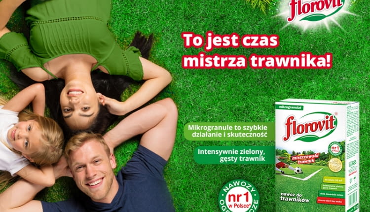 Jak pielęgnować przydomowy trawnik