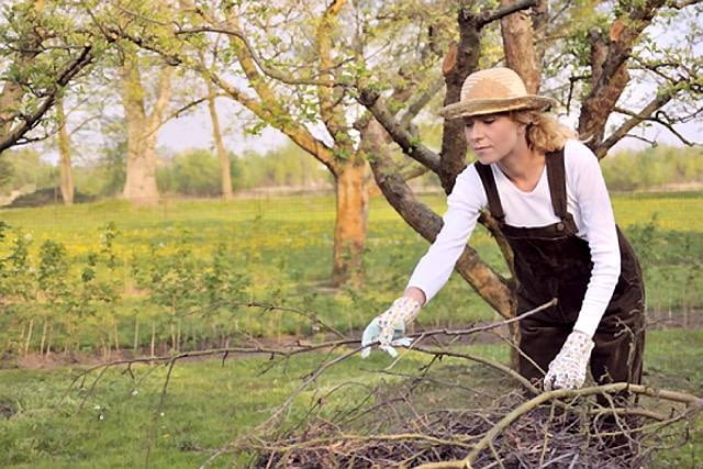 Na pewno podczas wiosennych porządków trzeba zwrócić uwagę na nasze drzewa oraz krzewy.