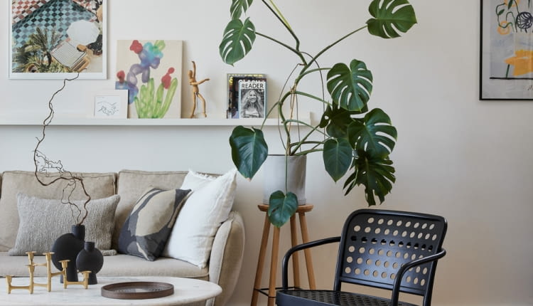 Jasna aranżacja salonu to najlepsze tło dla wyrazistych, czarnych elementów, na przykład fotela, wazonów czy ozdobnej patery.