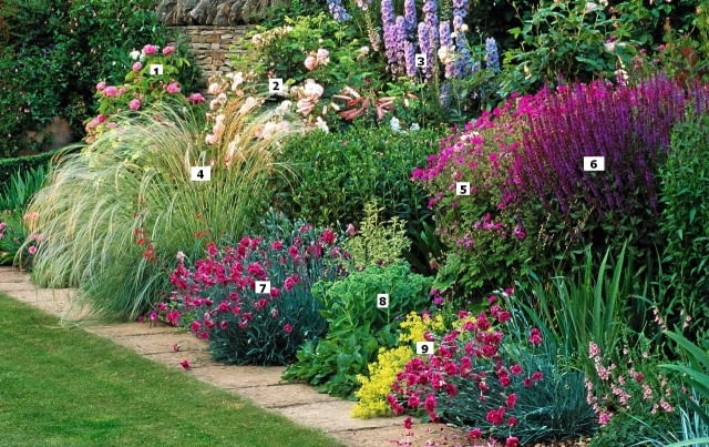 Border with Rosa 'La Ville de Bruxelles', Stipa barbata, Dianthus 'Laced Monarch' and Salvia x superba - The Garden House, Gloucestershire