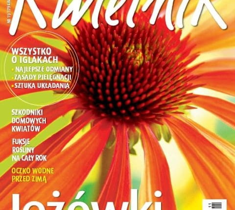 Kwietnik, numer listopadowy