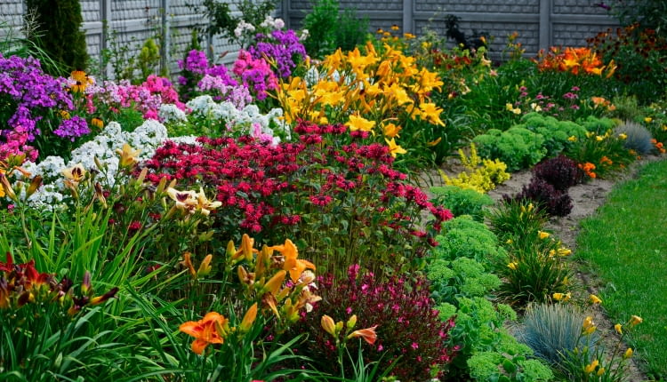 Oryginale kwiaty na bukiety