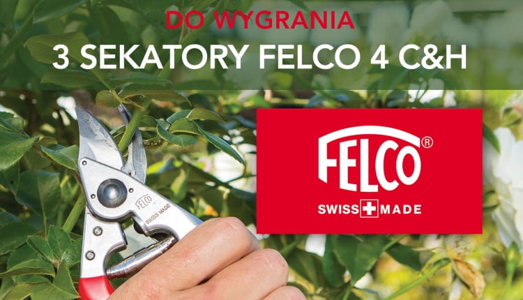 Konkurs w moim różanym ogrodzie