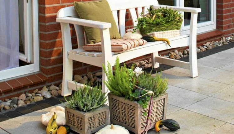 Kompozycje tarasowe w koszach- białe wrzosy i cyklamen oraz zielony bluszcz i wrzosiec drzewiasty 'Albert's Gold' o jasnozielonych igiełkowatych liściach. Jako dodatek - ozdobne dynie i patisony.