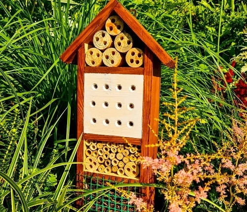 Domek dla pszczół
