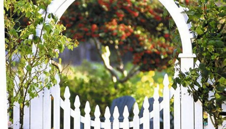 Drewniana furtka z pergolą