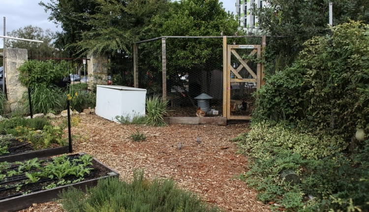 Wybieramy najlepszy kompostownik do ogrodu