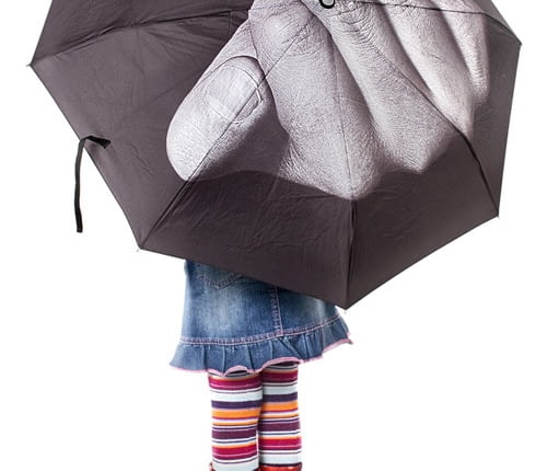 parasol