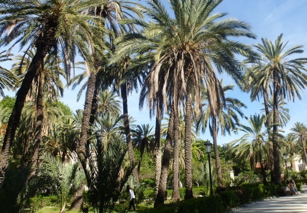 Sycylia. W miejskim parku można się poczuć jak na egzotycznej wyspie w palmowym gaju.