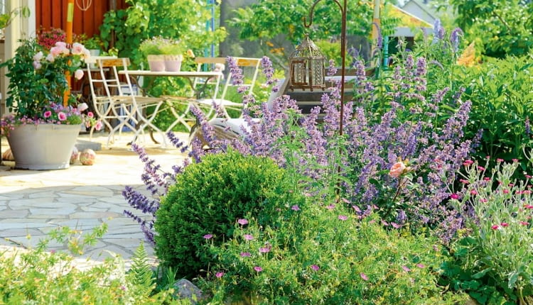 Piękne i niezawodne byliny: bodziszki (Geranium), kocimiętki (Nepeta) i firletki (Lychnis) kolorowym kręgiem otaczają słoneczny taras.