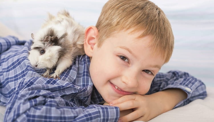 Wesoła i towarzyska świnka morska będzie dobrym przyjacielem najmłodszych domowników. Nawet kilkuletnie dzieci mogą się nią opiekować, ucząc się odpowiedzialności i delikatności w kontakcie ze zwierzętami.