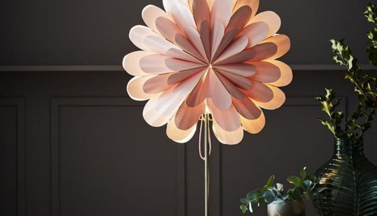 Lampiony Marigold